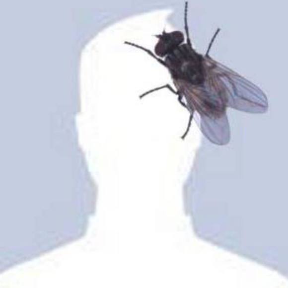 Meet your Posher, Dylan - Picture 1 of 1